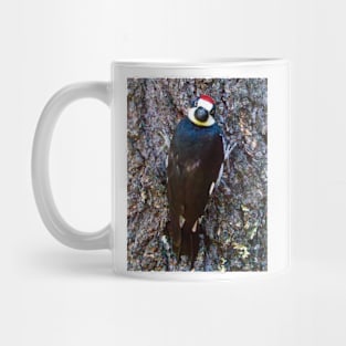 Acorn Woodpecker Looking Behind Itself Mug